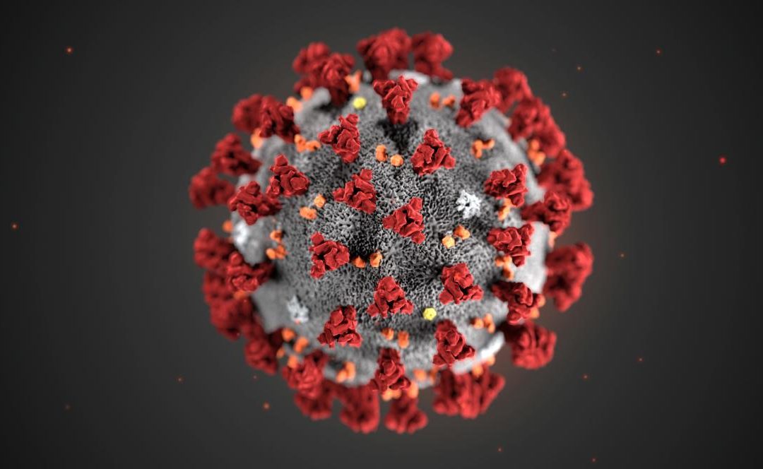 Koronavirus a hypoteční trh